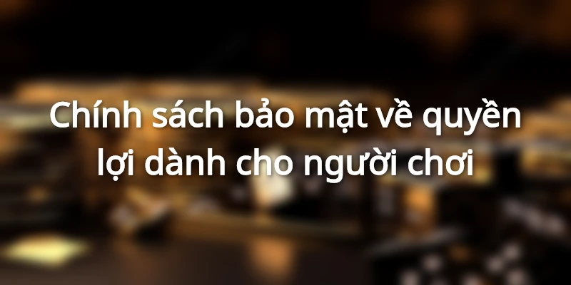 Nhà cái và thành viên đều có quyền lợi như nhau