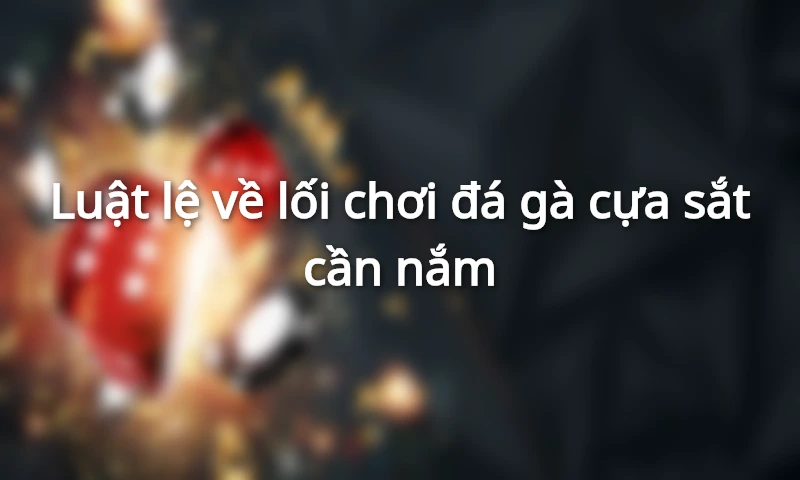 Thời gian tham gia trận đấu 