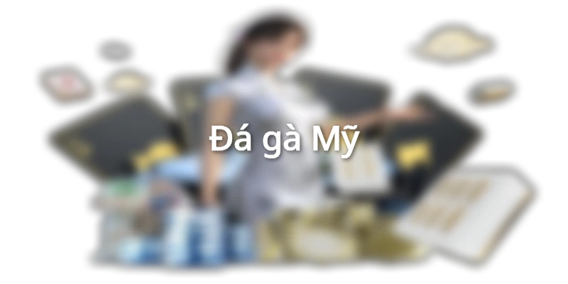 Đá gà tại Hi88 đa dạng sảnh cùng hình thức cá cược hấp dẫn