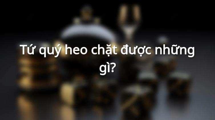 Tứ quý heo chặt được những gì?