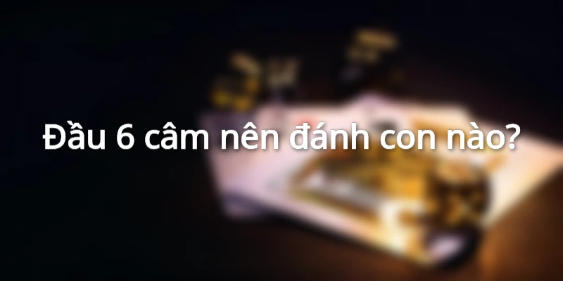 dau-6-cam-hom-sau-danh-con-gi-chuan