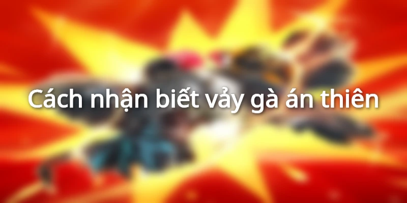 cach-nhan-biet-vay-ga-an-thien