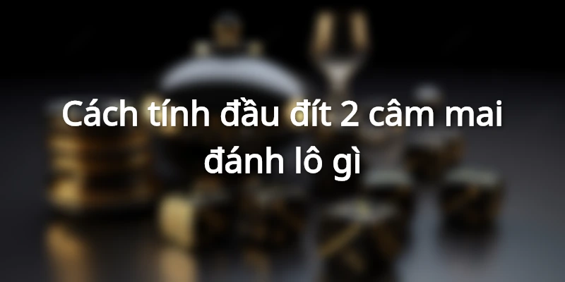 cach-tinh-dau-dit-cam