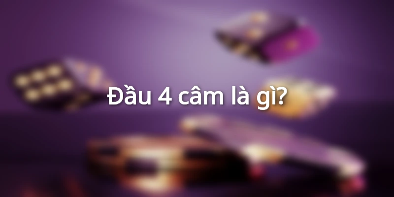 cam-dau-4-hom-sau-danh-con-gi