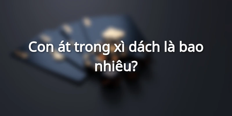 con-at-trong-xi-dach-la-bao-nhieu