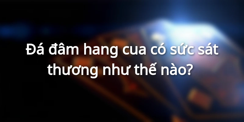 da-dam-hang-cua-la-gi