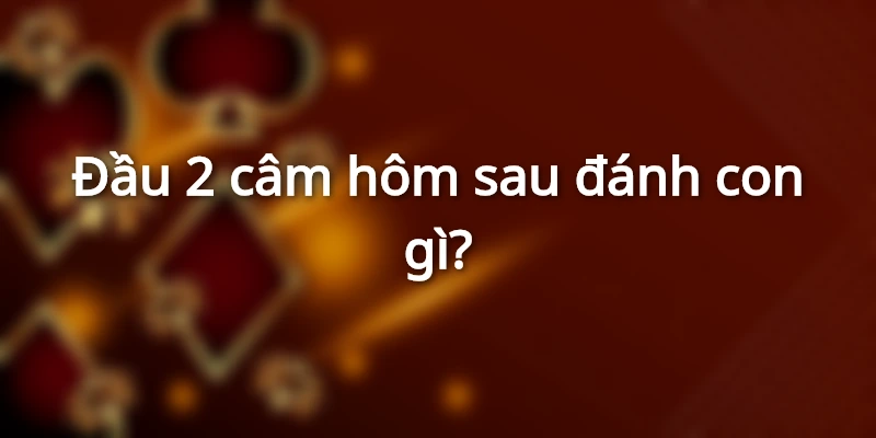 dau-2-cam-hom-sau-danh-lo
