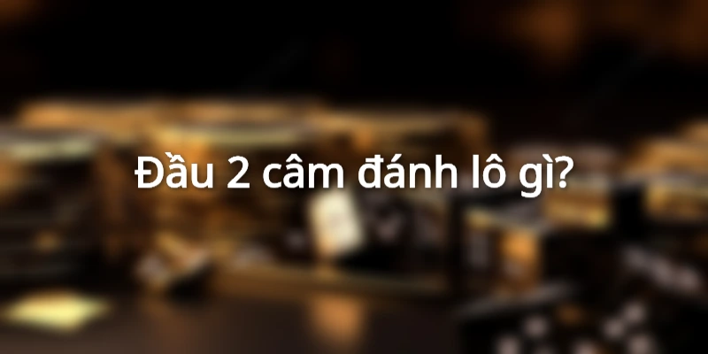 dau-2-cam-mai-danh-lo-gi