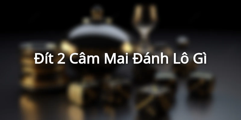 dit-2-cam-mai-danh-lo-gi
