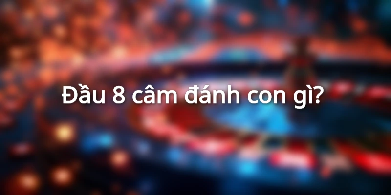 dit-8-cam-danh-con-gi