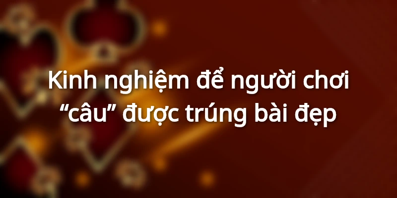 kinh-nghiem-cau-ngu-linh