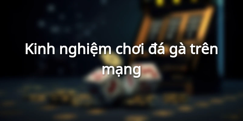 kinh-nghiem-choi-da-ga-tren-mang