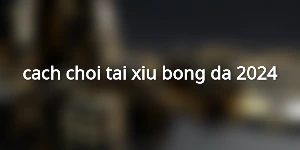 cach-choi-tai-xiu-bong-da-2024